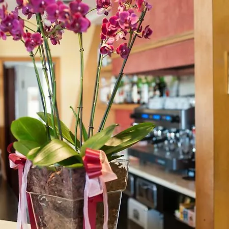 Anghiari Hotel Hotel Anghiari